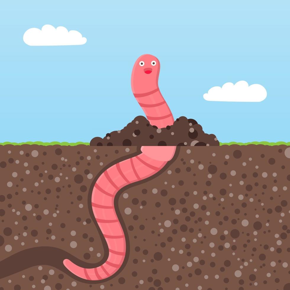 regenworm cartoon karakter pictogram zucht. vector