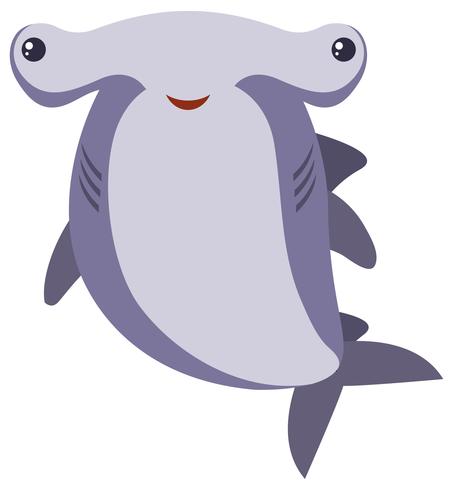 Hammerhead haai op witte achtergrond vector