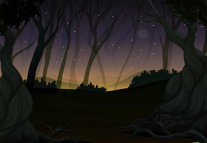 Scène met vuurvliegjes in bos bij nacht vector