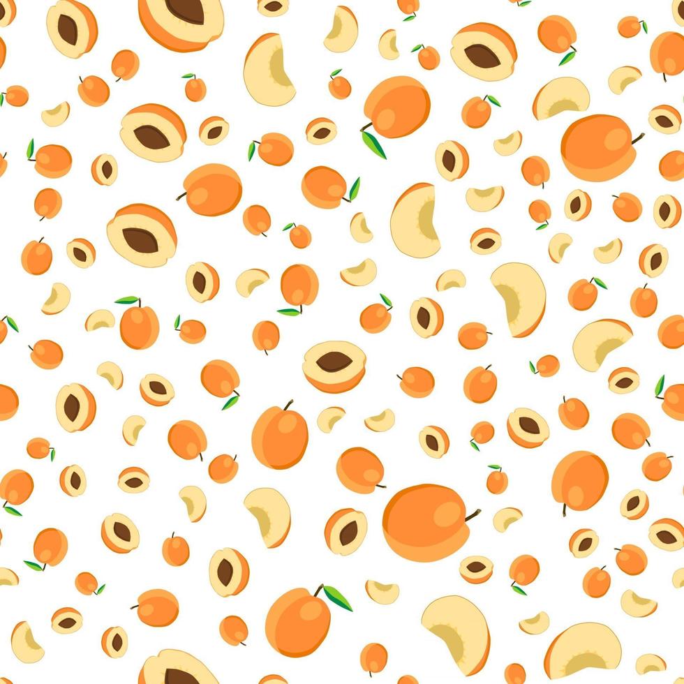 illustratie op thema grote gekleurde naadloze abrikoos vector
