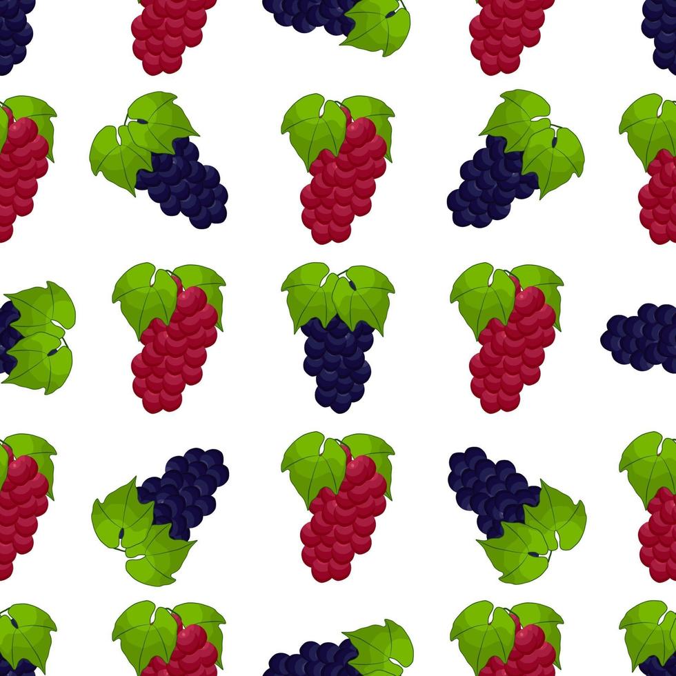 illustratie op thema grote gekleurde naadloze druif vector
