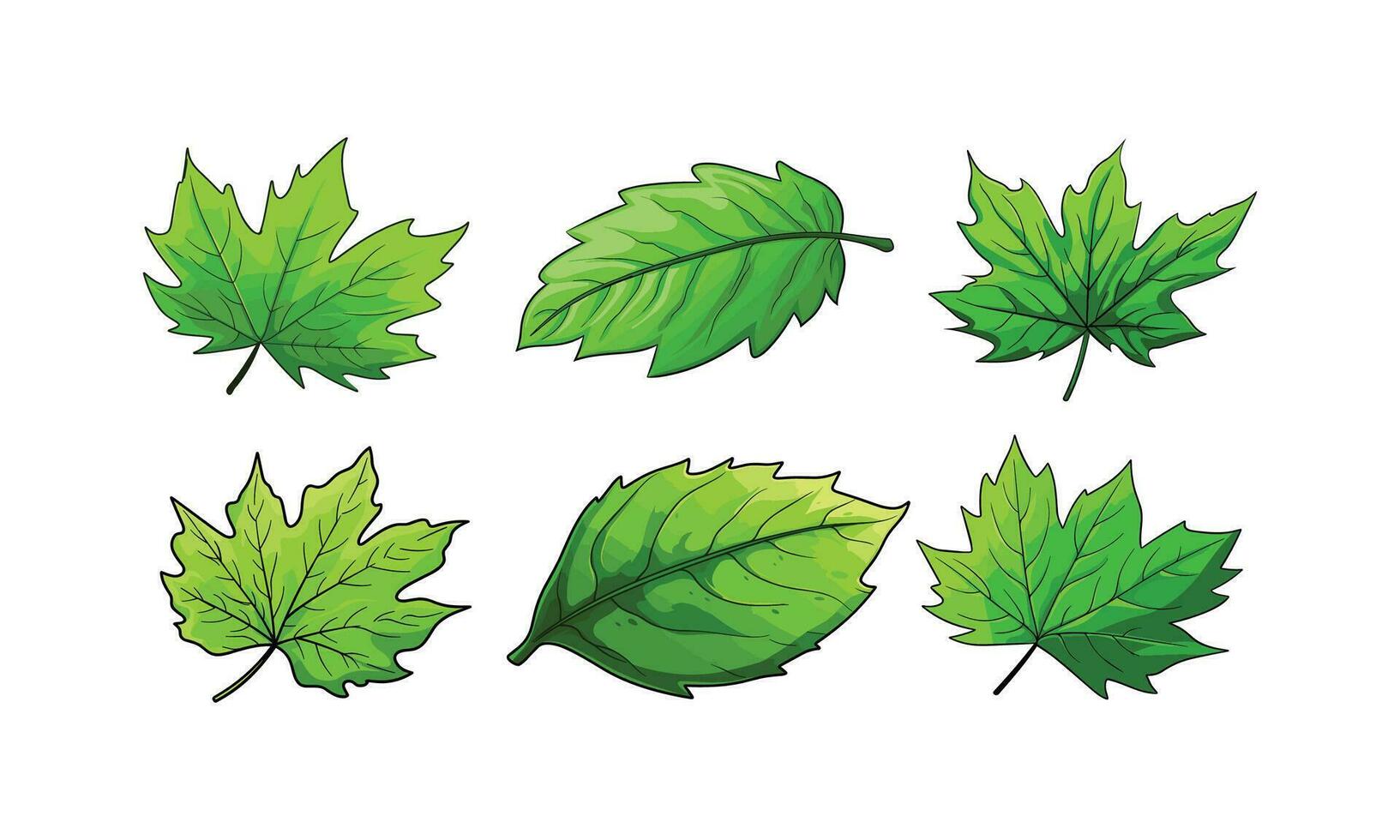 een reeks van groen bladeren illustratie vector