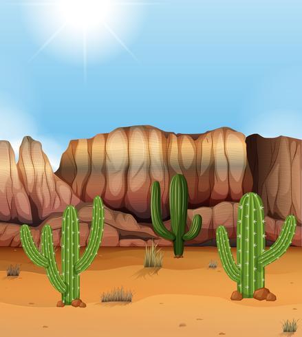 Scène met canion en cactus in de woestijn vector