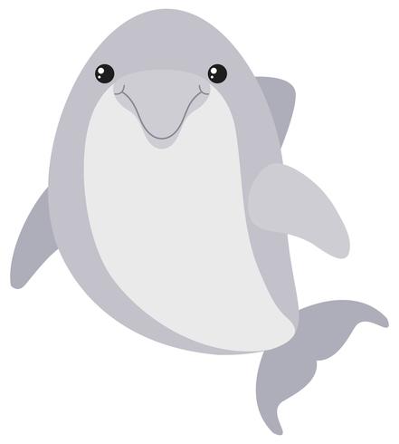 Leuke dolfijn op witte achtergrond vector