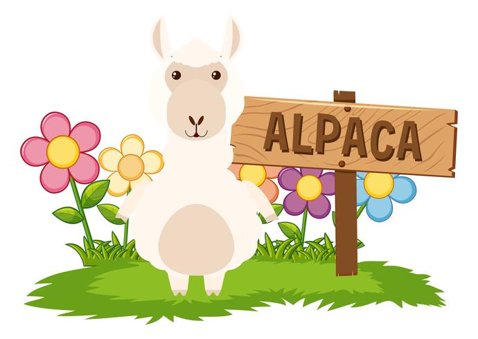 Leuke alpaca in de tuin vector