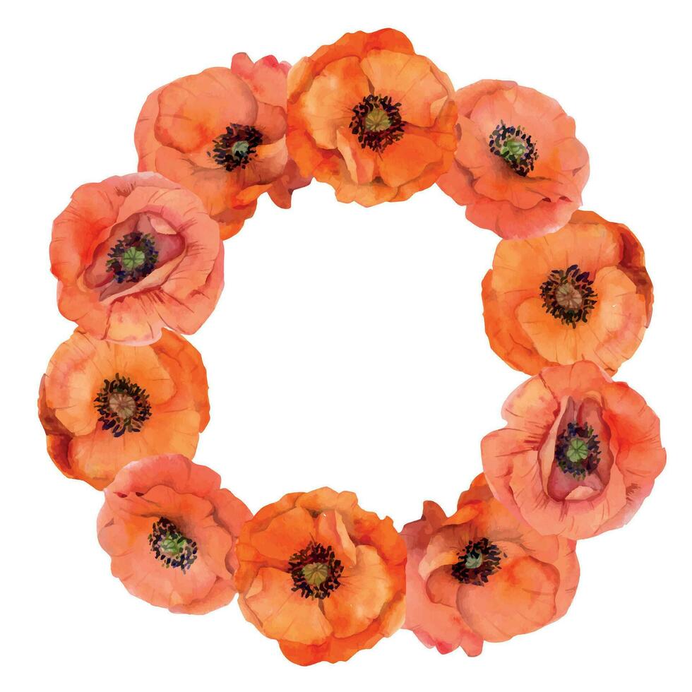 waterverf cirkel kader arrangement met hand- getrokken zomer helder rood papaver bloemen. geïsoleerd Aan wit achtergrond. ontwerp voor uitnodigingen, bruiloft, liefde of groet kaarten, papier, afdrukken, textiel vector