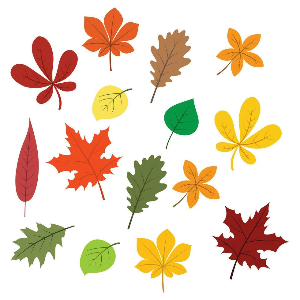 herfstbladeren collectie vector