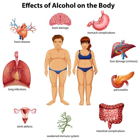 Effecten van alcohol op het lichaam vector