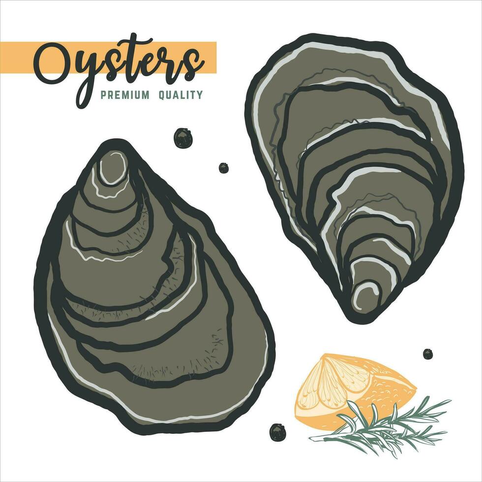 hand- getrokken oesters geïsoleerd, wit achtergrond. wijnoogst oester schelp illustratie, Super goed ontwerp voor ieder doeleinden . fijnproever voedsel. vector icoon. lineair schetsen voor restaurant en cafe menu.