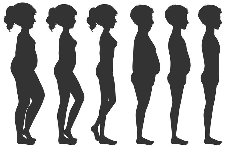 Mannelijke en vrouwelijke lichaamstransformatie vector