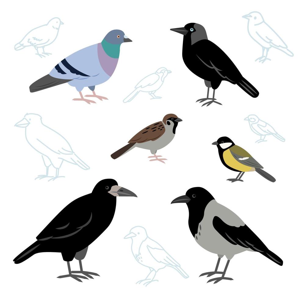 vector collectie van stadsvogels geïsoleerd op een witte achtergrond