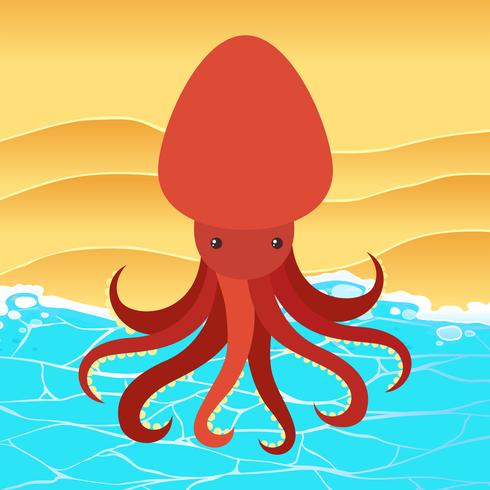 Rode octopus op het strand vector