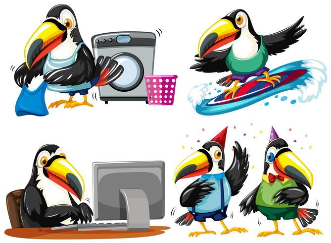 Toucan die verschillende activiteiten doet vector