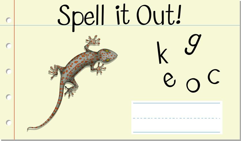 Spell Engels woord gecko vector