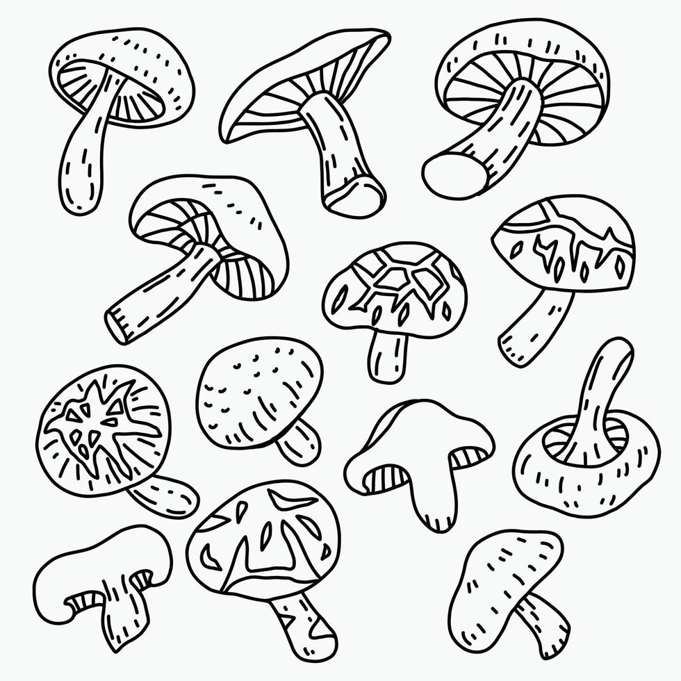 doodle uit de vrije hand schets tekening van shitake paddestoel groente. vector