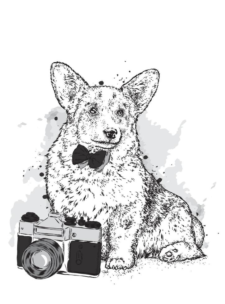 mooie hipsterhond en vintage camera vector