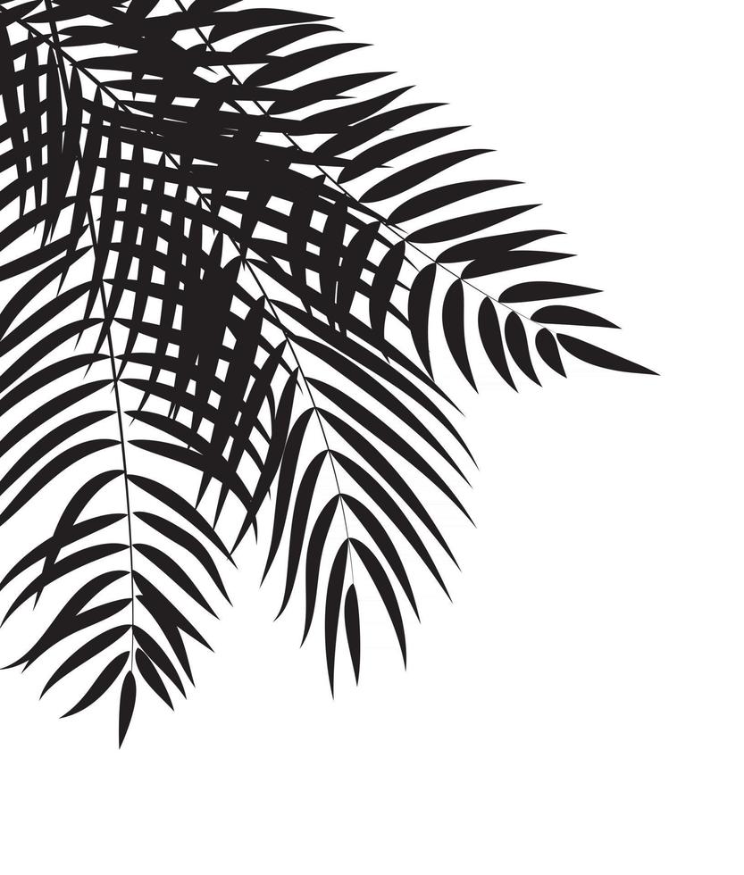 palmboom blad silhouet achtergrond vector illustrat
