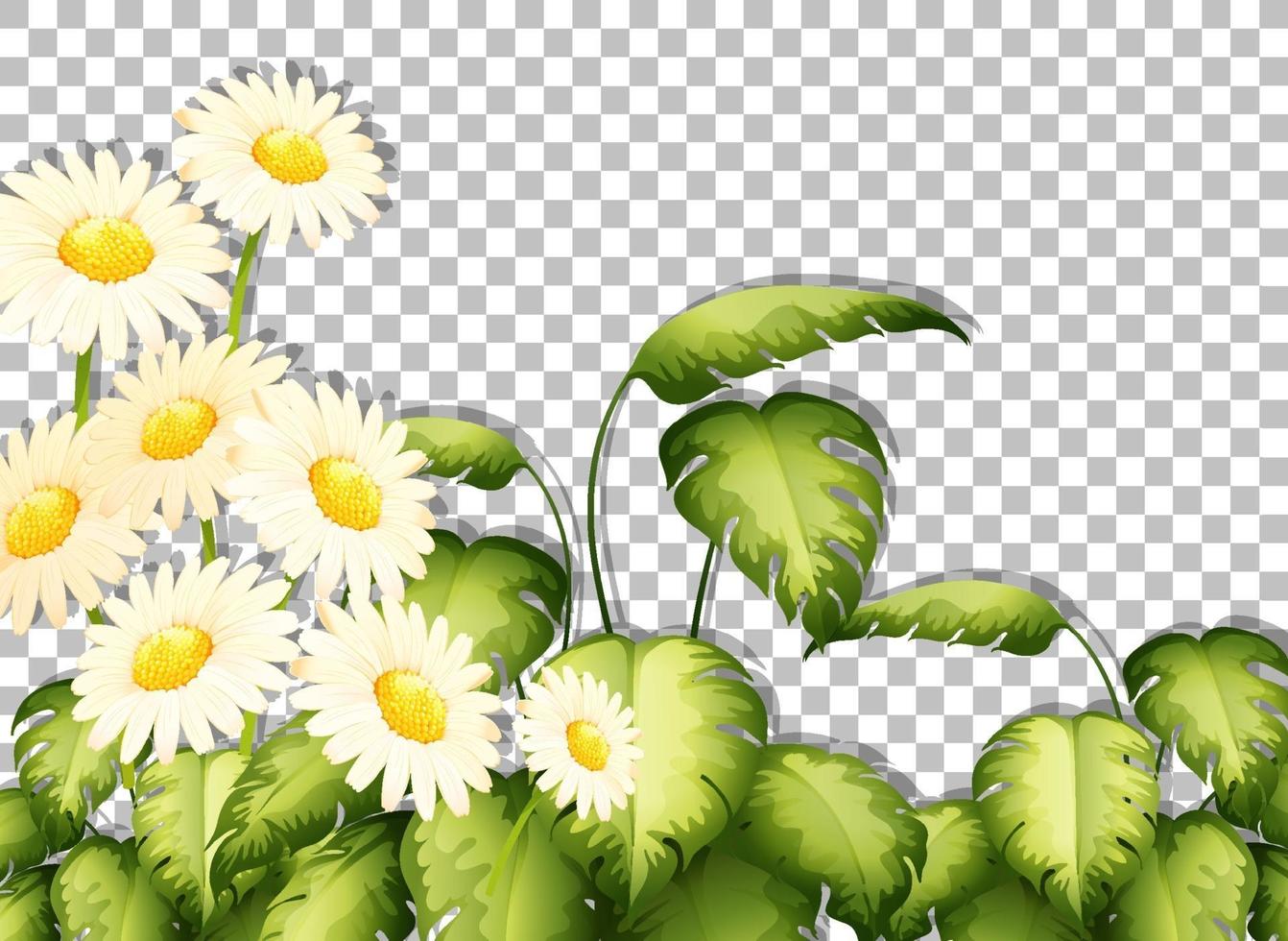 witte bloemen kadersjabloon vector