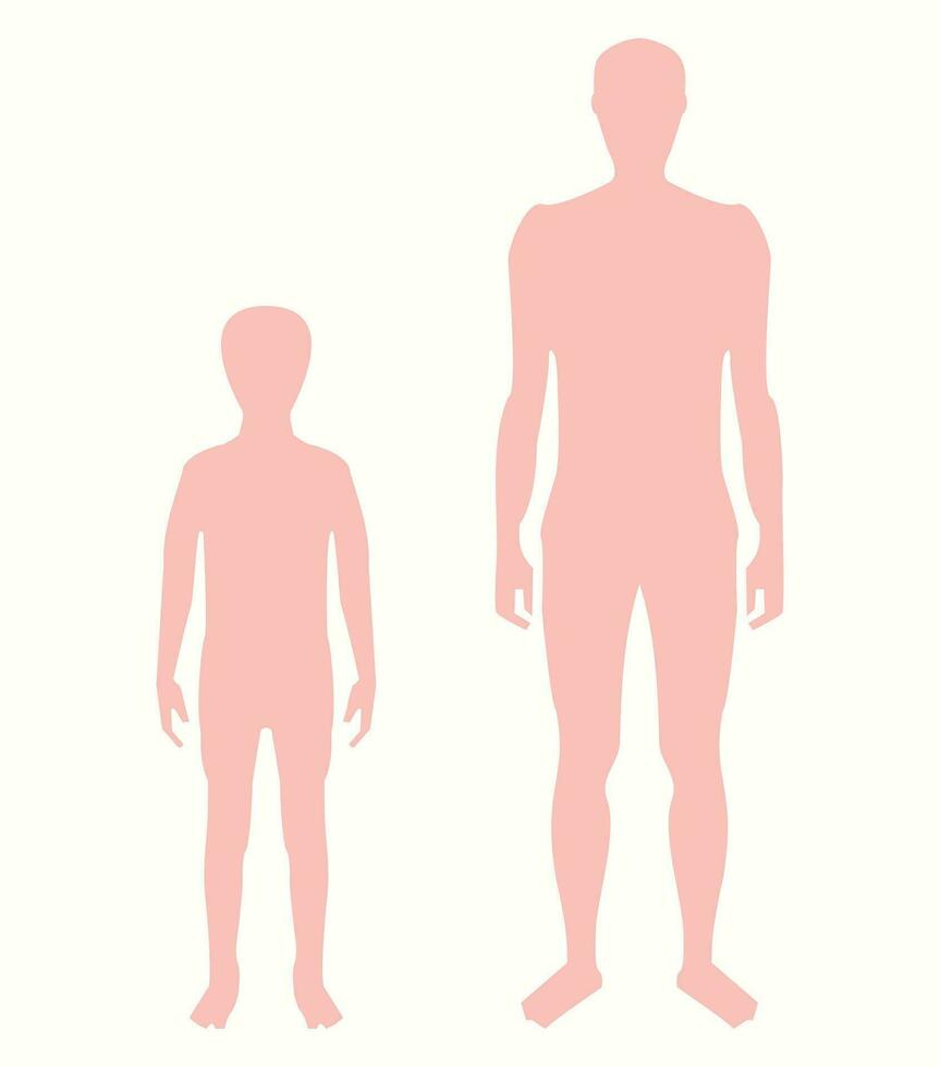 menselijk lichaam silhouet vector