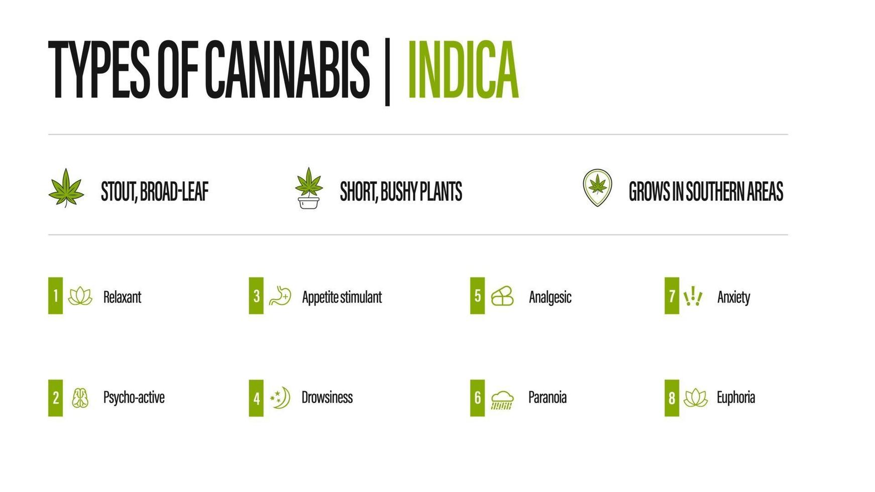 witte informatieposter van soorten cannabis met infographic. indica vector