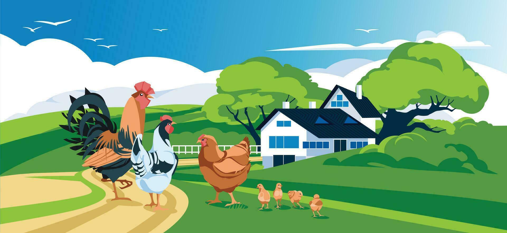 visie van de boerderij in de midden- van een groen weide. landbouw en oogsten. huisdieren. haan, kippen, kuikens. vector vlak illustratie