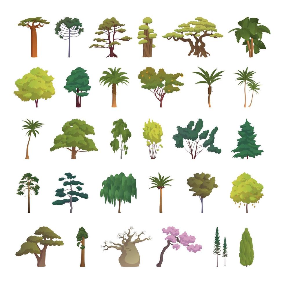 seth bomen uit verschillende klimaatzones vector