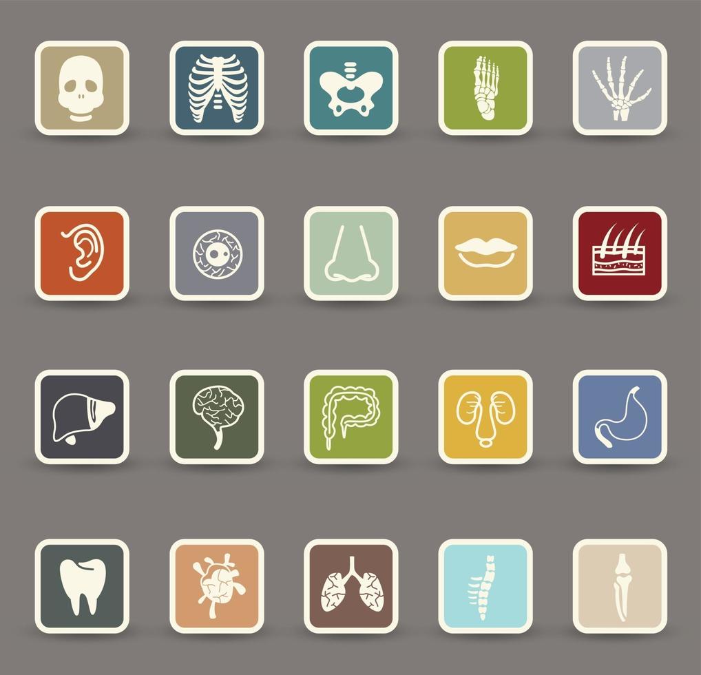 menselijke anatomie pictogrammen illustratie set vector