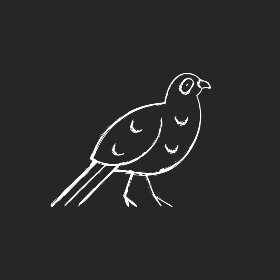 vogel krijt witte pictogrammen instellen op donkere achtergrond. vector