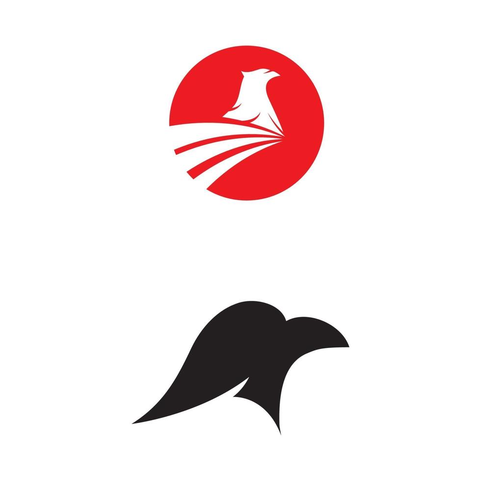 falcon eagle birdwave logo sjabloon vector symbool