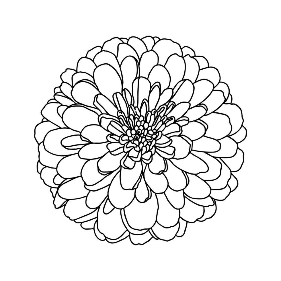 lijn tekening van mini chrysant bloem geïsoleerd Aan wit. hand- getrokken schetsen. decoratief element voor tatoeëren, groet kaart, bruiloft uitnodiging, kleur boek vector