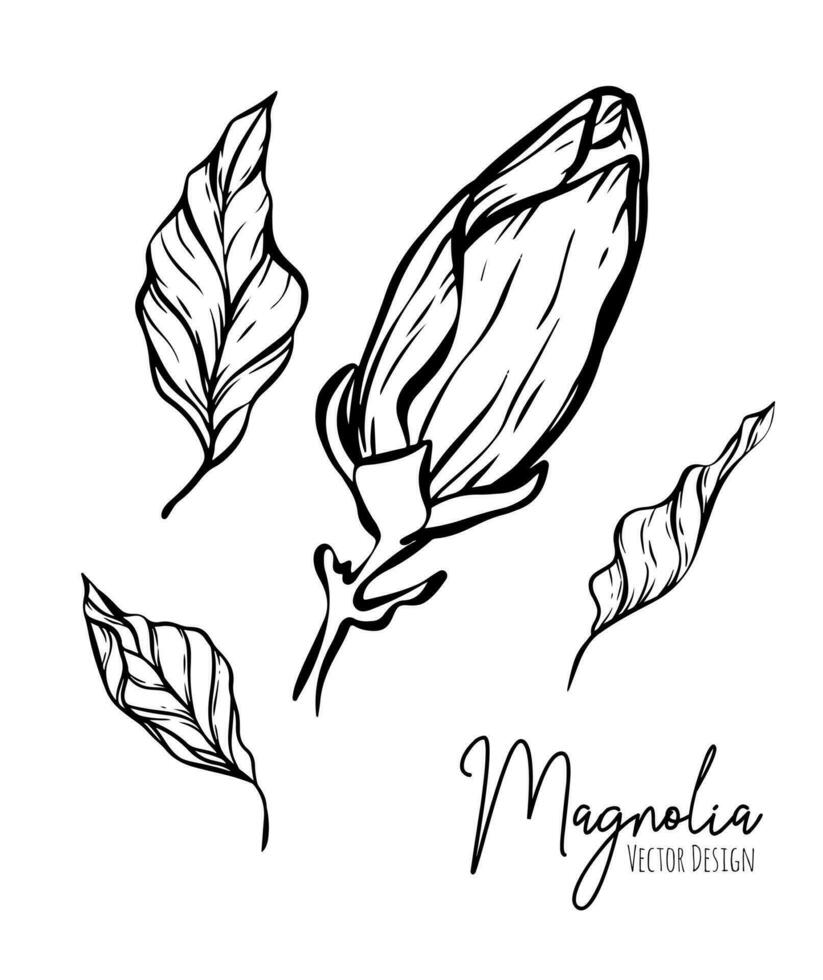 magnolia bloem lijn illustratie set. hand getekend contour schets van bruiloft kruid, elegant bladeren voor uitnodiging opslaan de datum kaart. botanisch modieus groen vector verzameling voor web, afdrukken, affiches.