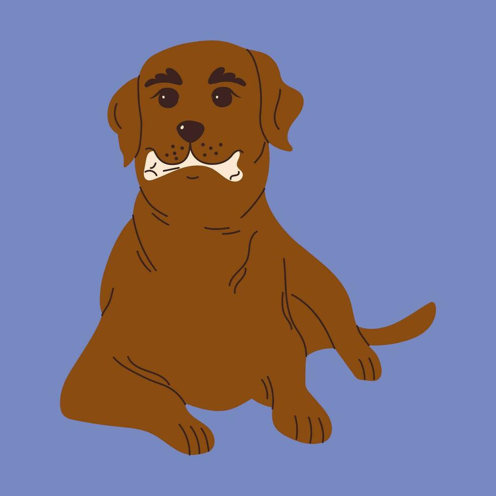 hond met speelgoed voor poetsen of masseren tanden. hond tandheelkundig Gezondheid. hoektand tandheelkundig zorg en hygiëne concept. vector illustratie