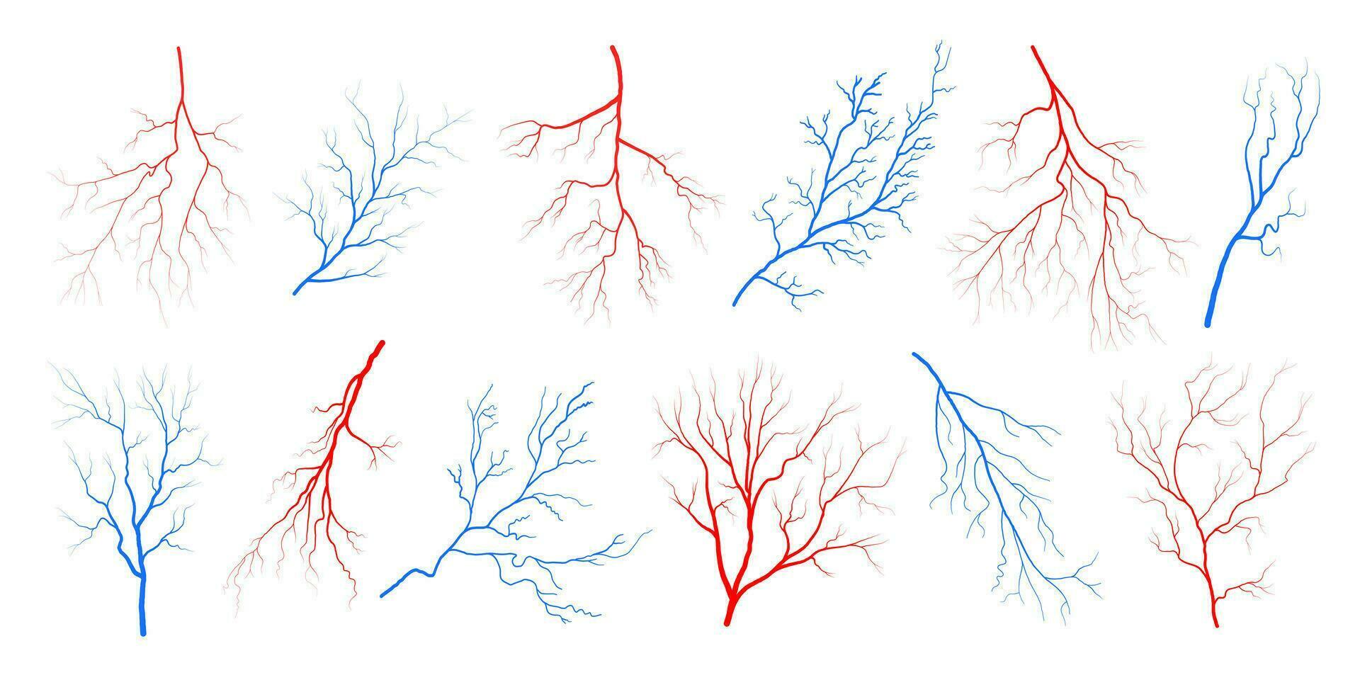 menselijk oog bloed aderen schepen silhouetten vector illustratie reeks geïsoleerd Aan wit achtergrond.