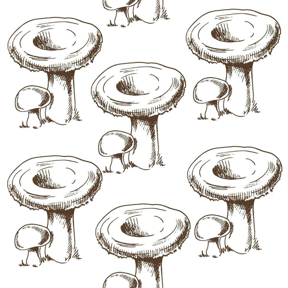 naadloos patroon van hand- getrokken Woud champignons. wijnoogst tekening. eco voedsel wijnoogst vector illustratie. schetsen illustratie voor afdrukken, web, mobiel en infographics.