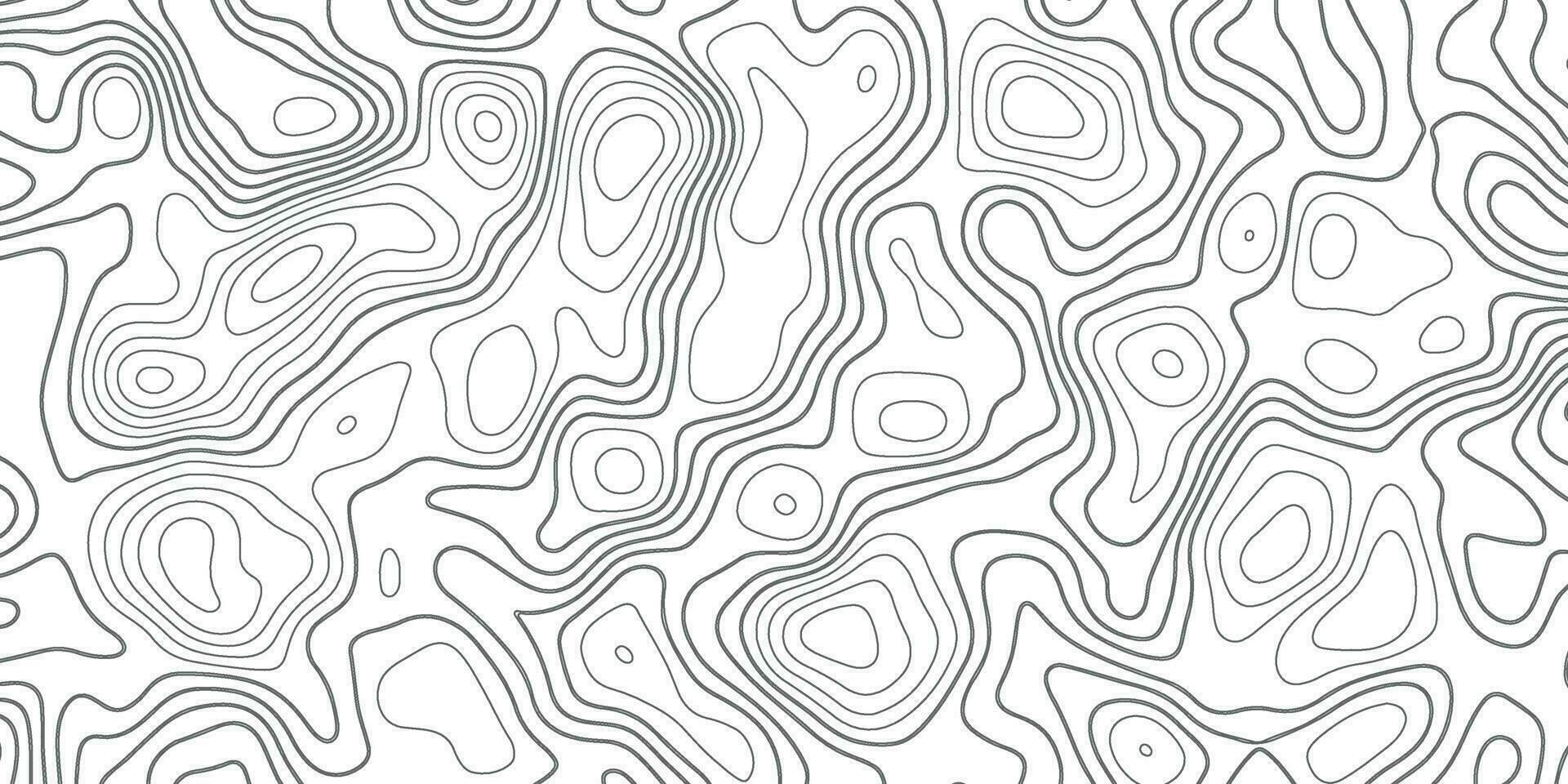 topografisch achtergrond. grijs en wit abstract achtergrond met golvend lijnen. zwart en wit patroon van lijnen en bochten. topografisch topografie vector