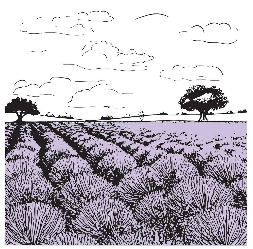 lavendel veld- boom schetsen hand- getrokken in tekening stijl vector illustratie