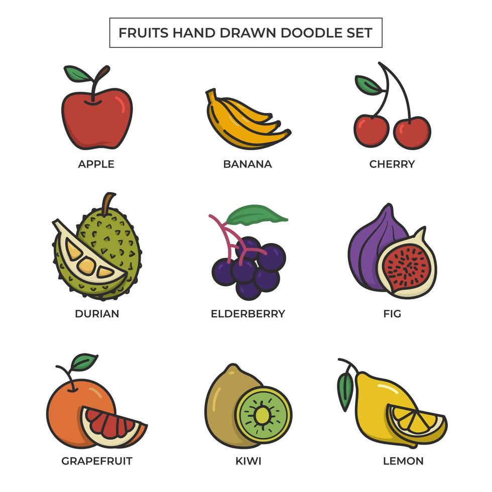 fruit handgetekende doodle set met egale kleur vector
