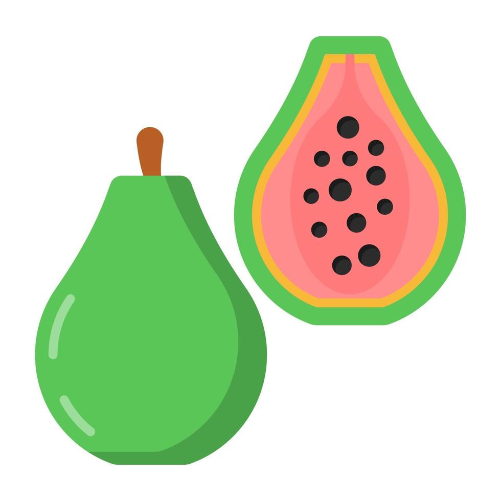 guave en biologisch voedsel vector