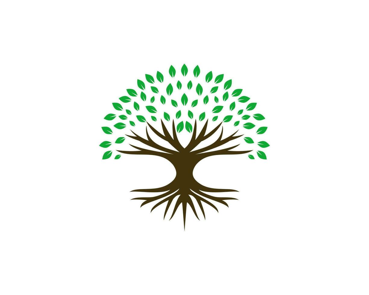 abstract levendig boom logo ontwerp, wortel vector. gemakkelijk boom icoon logo ontwerp inspiratie geïsoleerd Aan wit achtergrond vector
