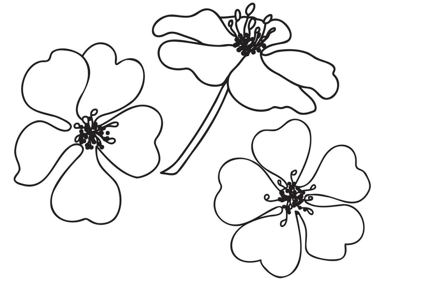 de potentilla bloem is geschilderd met een zwart schets, het is bedoeld voor kaarten, afdrukken, maart 8, Valentijnsdag dag, tatoeages en andere gelegenheden. vector