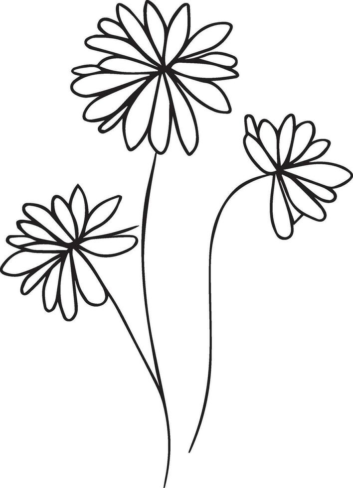aster bloesem bloemen en Afdeling van bladeren bvector illustratie. hand- tekening aster vector illustratie voor de kleur boek of bladzijde zwart en wit gegraveerde inkt kunst, voor kinderen of volwassenen