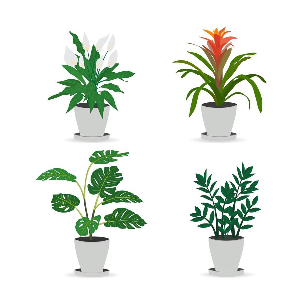 set trendy potplanten voor in huis. gekleurde vectorillustratie. vector