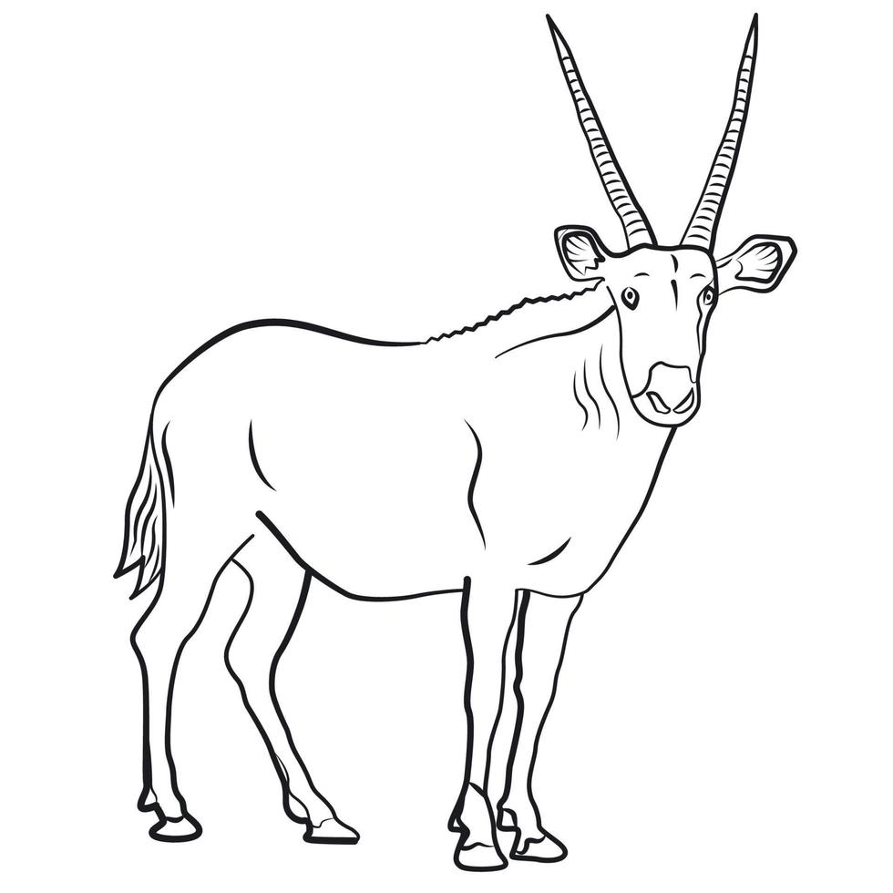 Afrikaanse antilope illustratie vector