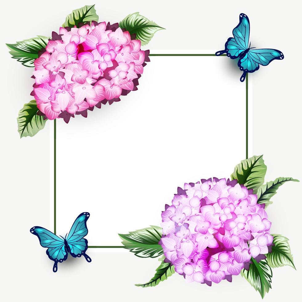 hortensia bloemen achtergrond frame met vlinder vector
