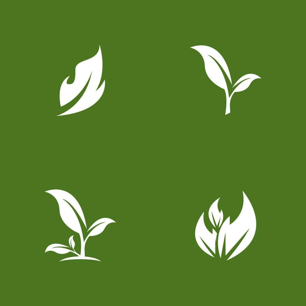 groen blad natuur fabriek conceptuele symbool vector illustratie