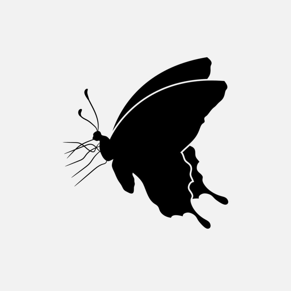 vlinder vector PNG