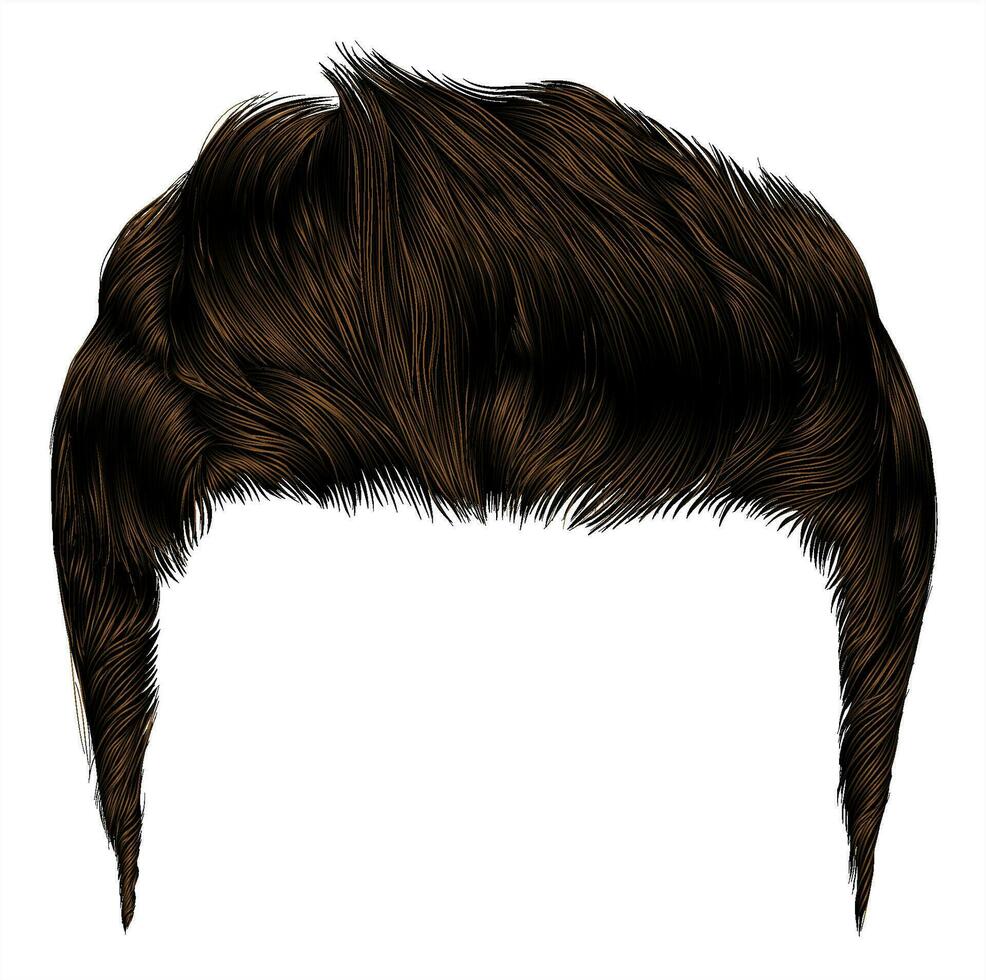 modieus elegant Mens haren bruin kleur.schoonheid stijl.hoog haar- styling . vector