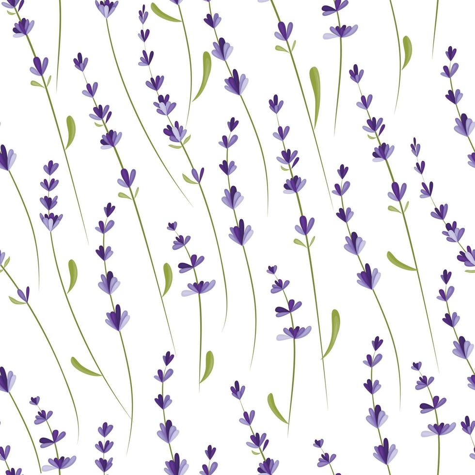 naadloos patroon met lavendeltakken. vector