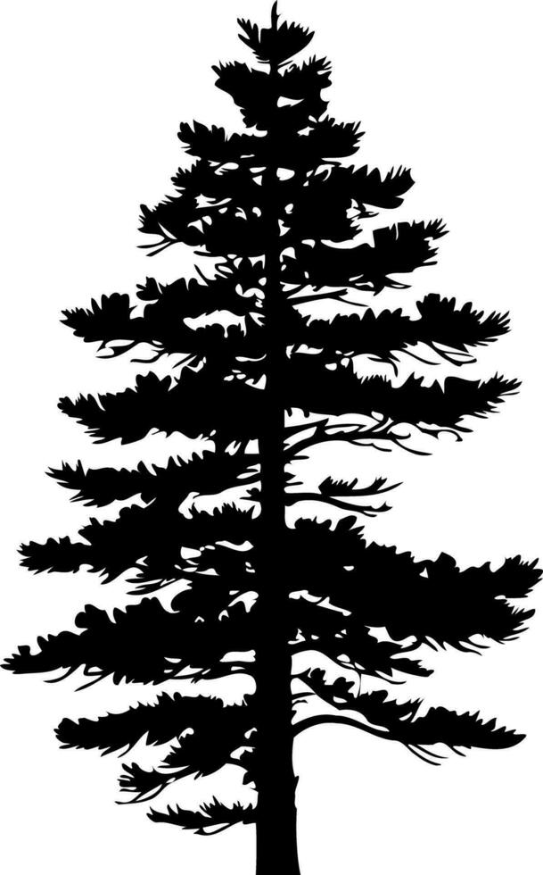pijnboom boom silhouet geïsoleerd Aan wit achtergrond. vector illustratie.