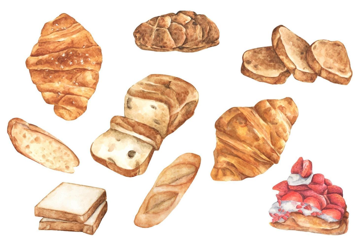 aquarel brood set. verschillende soorten brood. vector